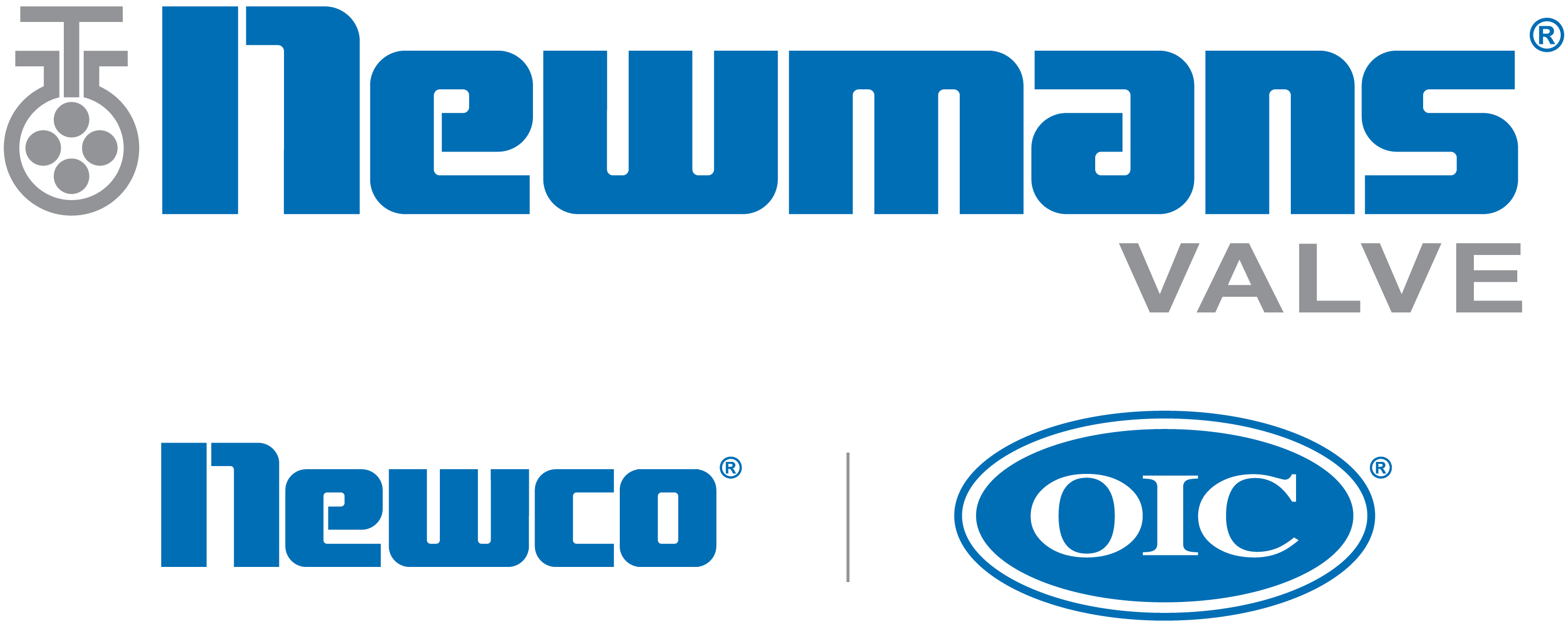 Newmans Valve LLC logo