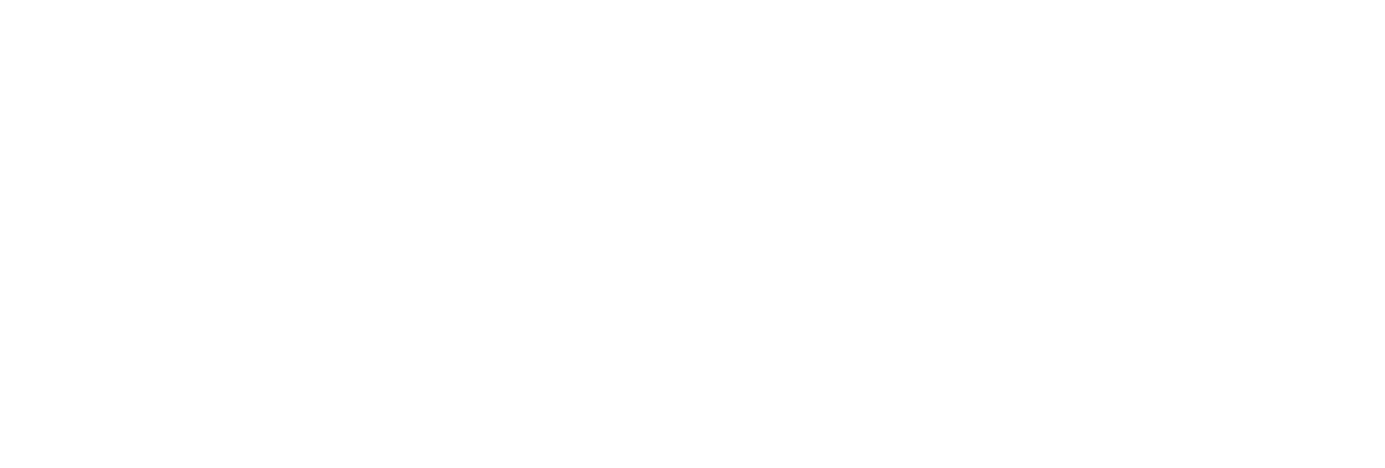 PM International Suppliers logo